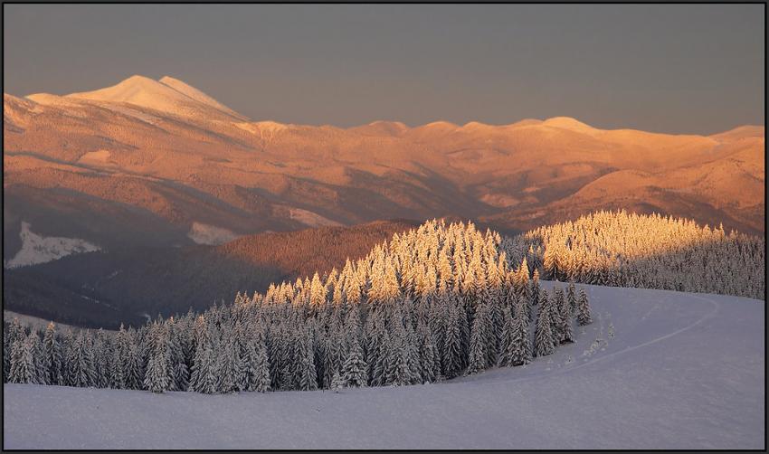 *** карпаты