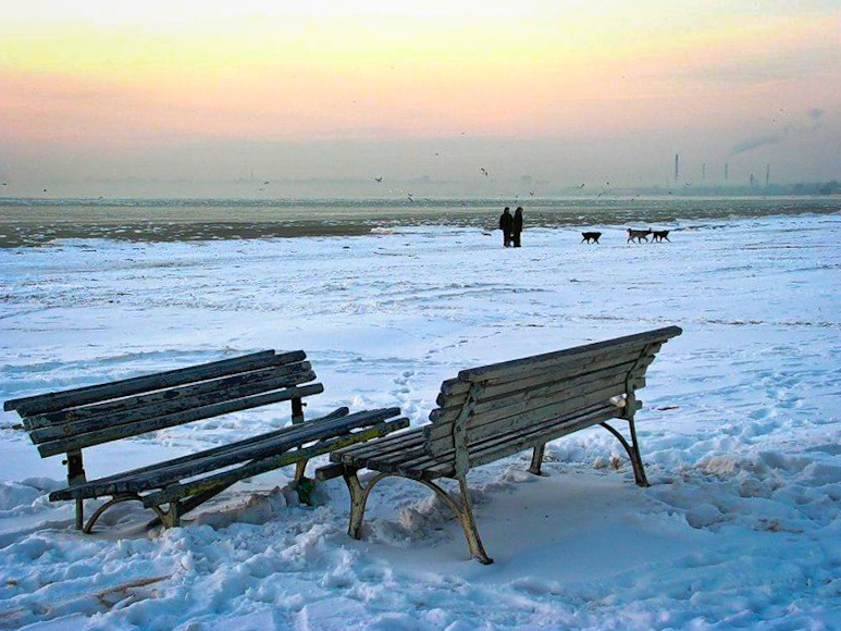 Скамейки на пляже зимой