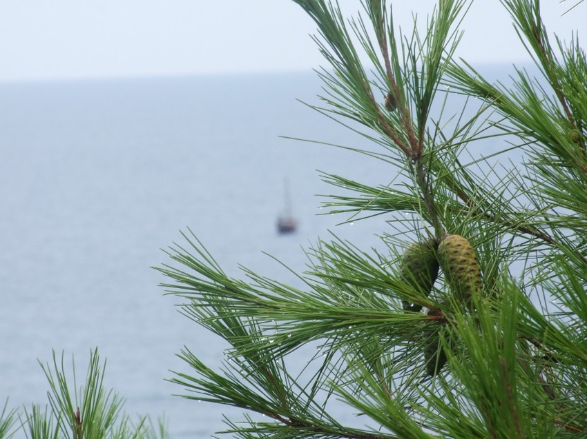 После дождя море, дождь, крым
