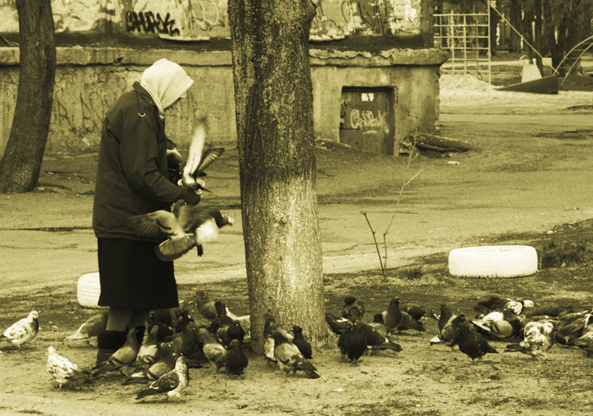 , , , , , , nikon d80, kiev, ukraine, 