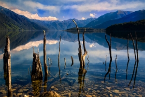   Fiordland,  