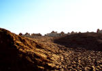 ...Egypt