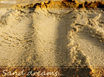 ...Sand dreams