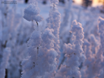 -20