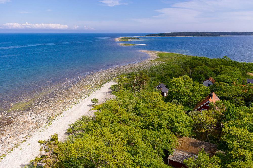Балтика деревья, море, берег, балтика, природа, пейзаж, вода, лето, швеция