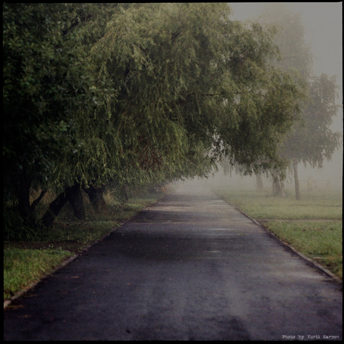 Утро,туман,аллея.. деревья, туман, аллея, город, 6х6, film 120, medium format, pentacon 6х6, городские зарисовки, городской пейзаж