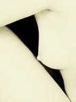 Nude Geometry I