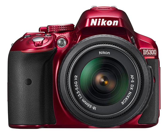 Никон Nikon D5300